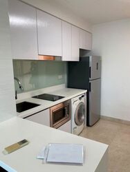 Eight Riversuites (D12), Condominium #587680301